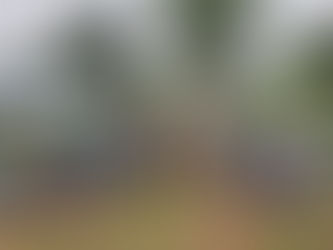 Rapat Konsolidasi dan Doa Bersama Yayasan Daarul Ilmi Qur’ani Indonesia