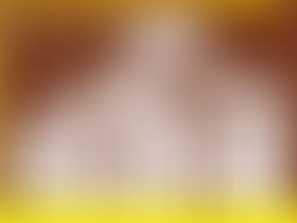 VI Congresso de História