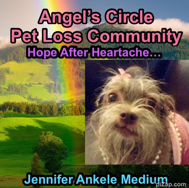 newest logo of Angel's Circle.jpg