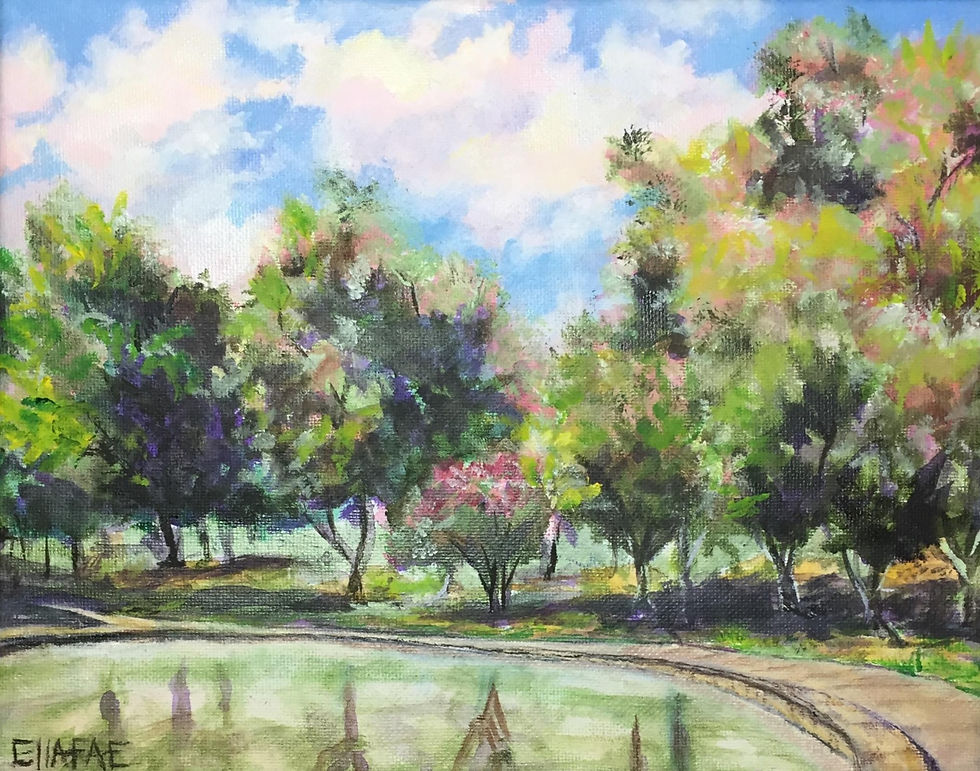 Freedom Park Series 5