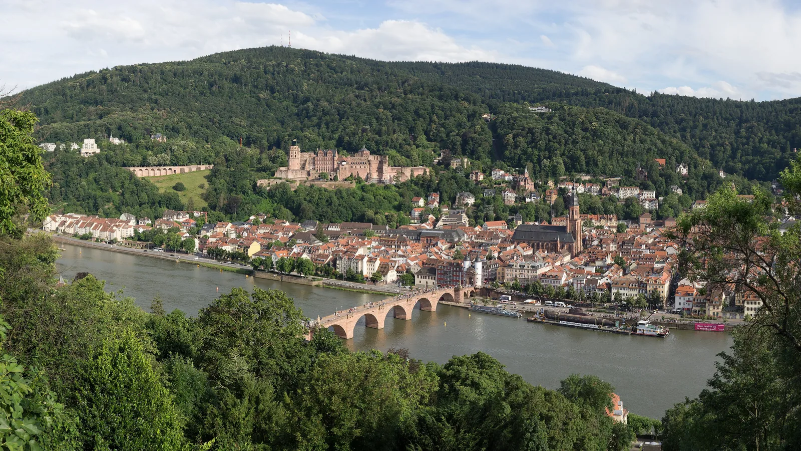 Zurich Airport to Heidelberg Private Transfer
