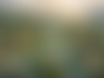 Sustainable Design Solutions for Urban Development: A. Alberto Lugo’s Approach to Future-Ready Cities