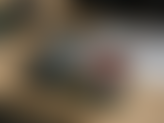 Urban Nature is Not a Decoration