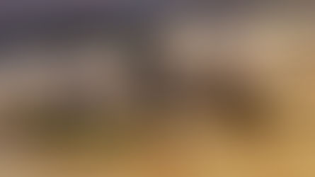 A private golf course in my garden