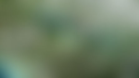 Feng Shui: is that magical?