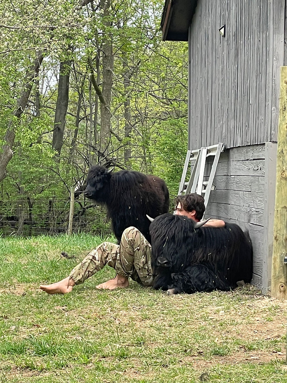 Thumbnail: A Visit with the Yaks
