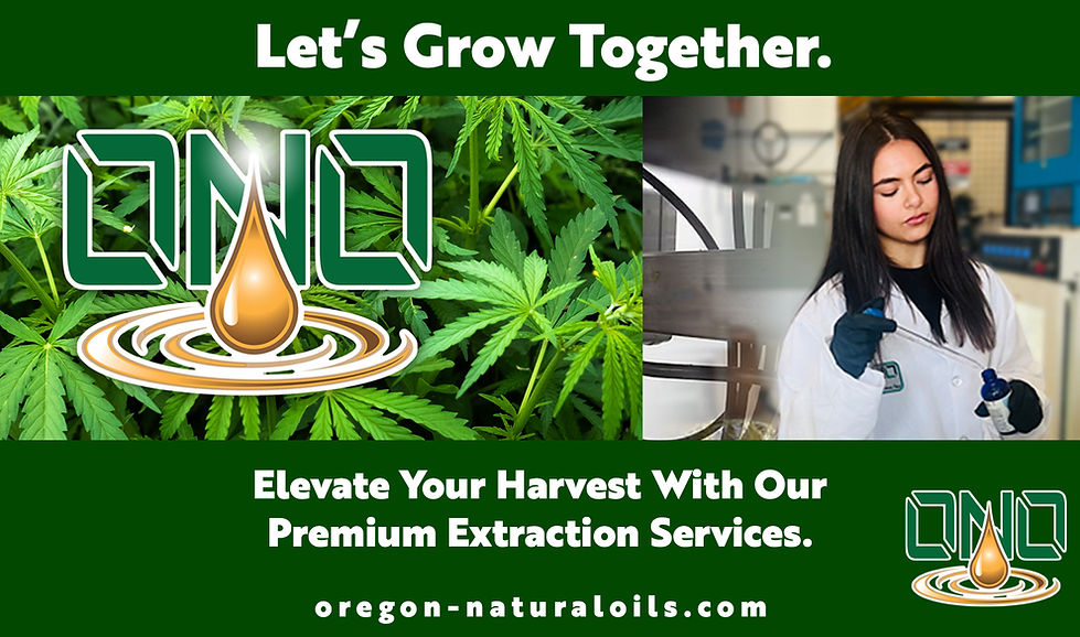 cannabis, cannabis oil, cannabis extract, cannabis sativa, cannabis indica, cannabis hybrid, cannabis dabs, cannabis vape cartridge, cannabis vape pen, 420, nugs, blunts, cannabis, extract, dabs, concentrates, THC, marijuana, sugar, wax, crumble, shatter, badder, distillate cannabis extraction, cannabis processing