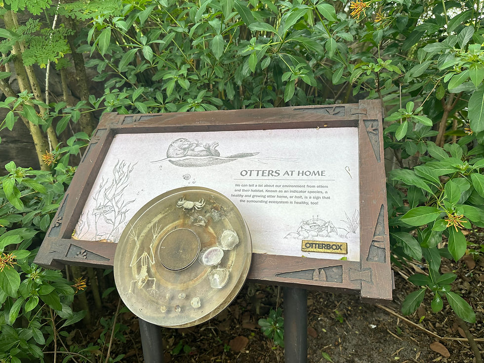 Play Disney Parks Sign