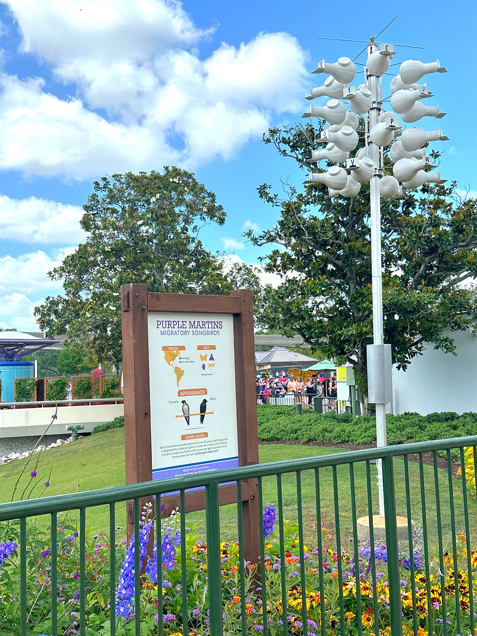 Purple Martins sign and white Purple Martins houses.