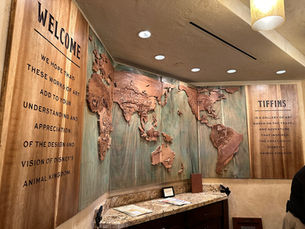 Tiffins at Disney’s Animal Kingdom 🌍🐘