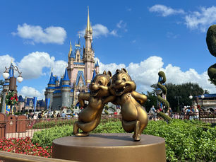 Disney Fab 50 Character Collection ✨🏰