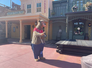 Meet the Country Bears 🐻🎶