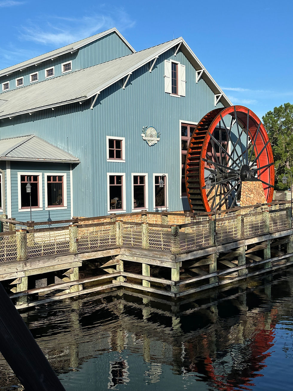 Disney’s Port Orleans: Bayou Beauty and French Quarter Festivities 🐊🎭