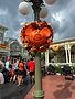 IMG_4083.jpeg