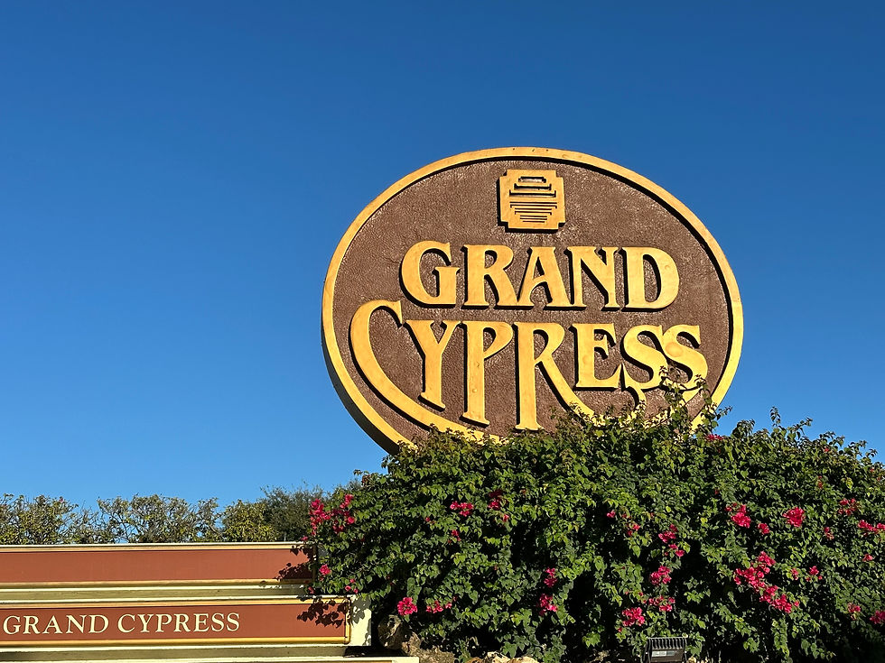 HyattGrandCypress.jpeg