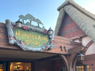 Hundred Acre Goods 🍯🐻