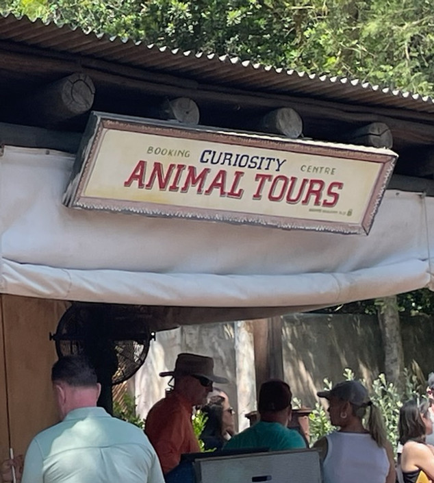 Curiosity Tours Booking Sign