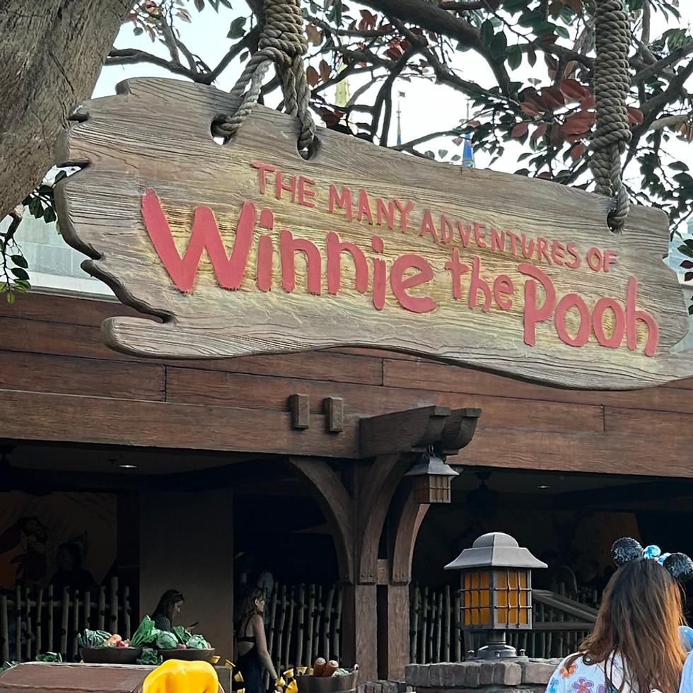Entrance sign for The Many Adventures of Winnie the Pooh at Magic Kingdom, featuring playful wooden lettering, colorful illustrations of Pooh and friends, and whimsical storybook elements above the queue entrance.