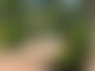 🌪️ Storm Slides