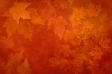 istockphoto-1221705070-612x612.jpg