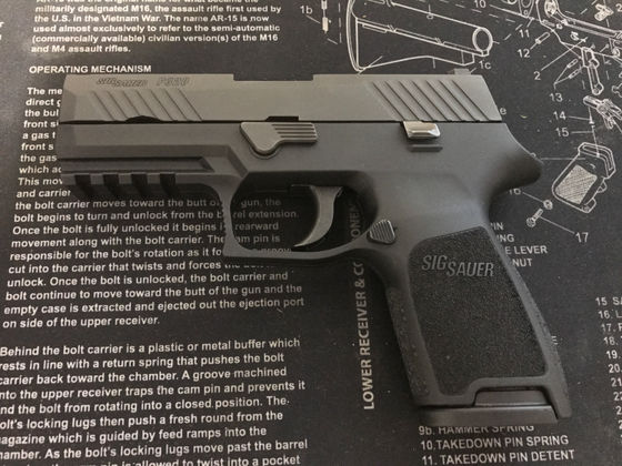 New Carry Gun