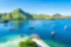Indonesia.webp