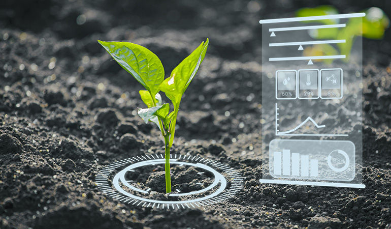 BP-AI-in-Agriculture-The-Future-of-Farming_body-im-3.jpg