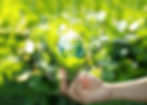 Environmental-Sustainability-Examples-Tips-to-Implement-Them.jpg