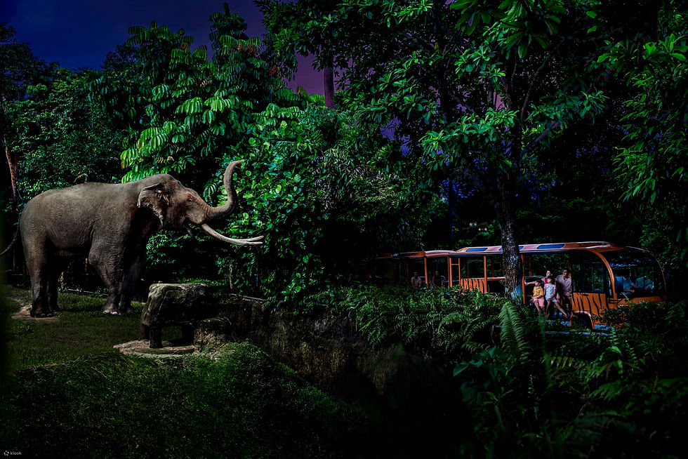 NightSafariTicket_MandaiWildlifeReserve,Singapore-KlookMalaysia.jpg