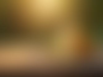 Understanding Orgones: Mission, Backstory, and Our Journey Together