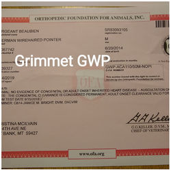 72690021_1014599642215825_78595739258464