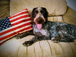 69373577_686015651878288_145405783228127