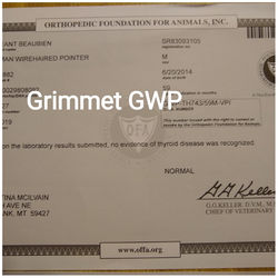 72255048_876464629413836_612291318972311