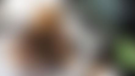 Have You Taken Your Marketing as Far as You Can?
