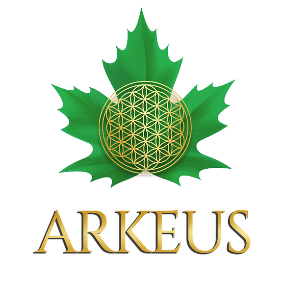 arkeus.PNG