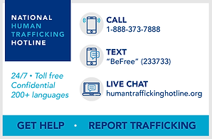 hotline-widget-big.png