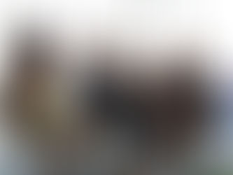 Film festival event celebrates Austin as home to growing Asian culture