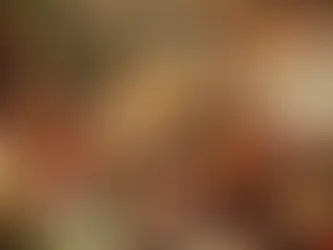 Geef een Uniek Cadeau: Schiedam Proms Kaarten voor de Feestdagen! 🎁🎶