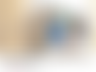 Les Ehpad et les services de soins à domicile sont sous le feu des critiques de la Cour des comptes dans un rapport qui appelle à un renforcement de la prévention et des effectifs.