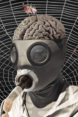 Confinement intellectuel