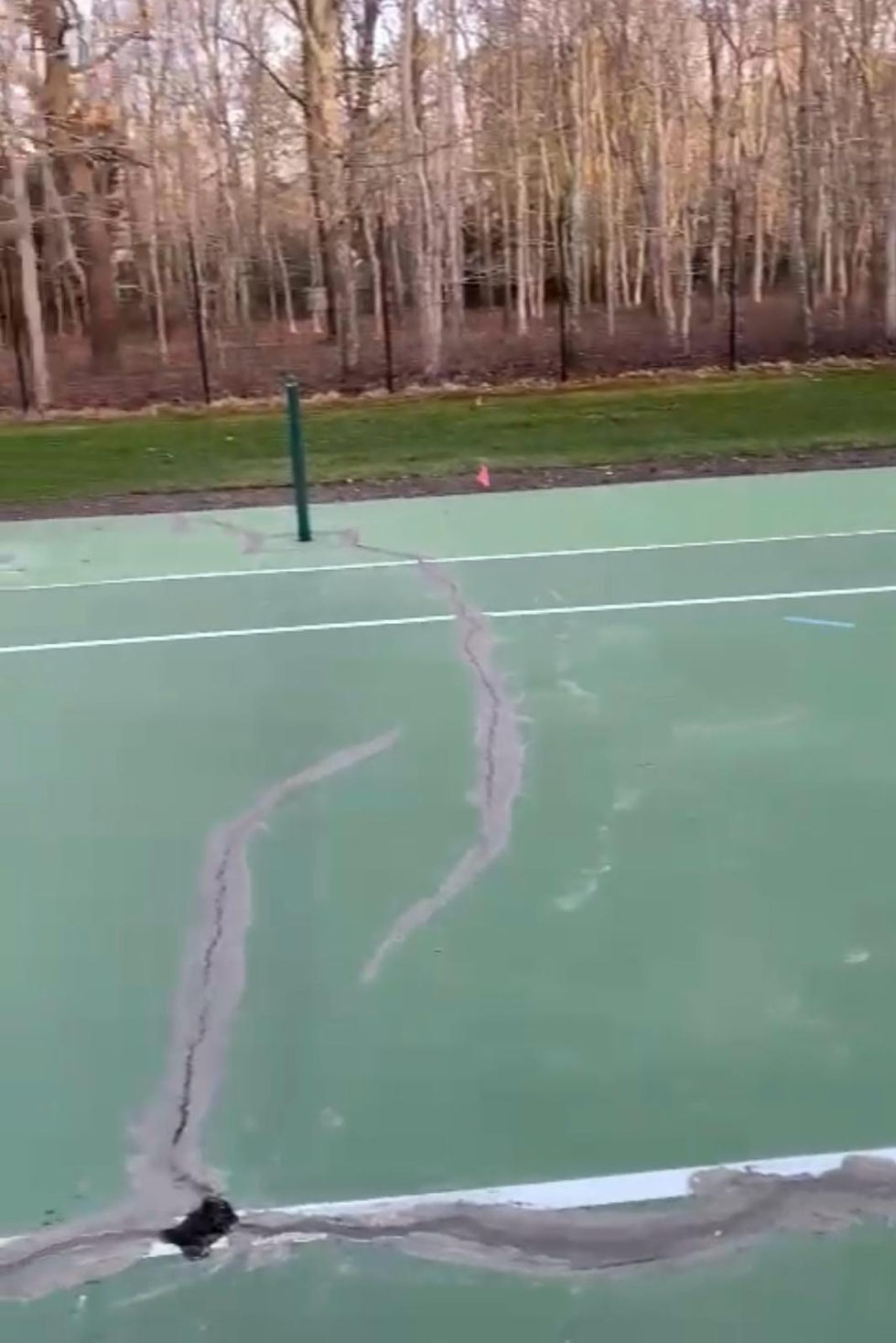 WhatsApp Image 2024-02-15 at 1.01.11 PM (4).jpeg