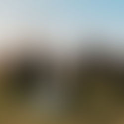 Caleb and Shannon Barn Wedding