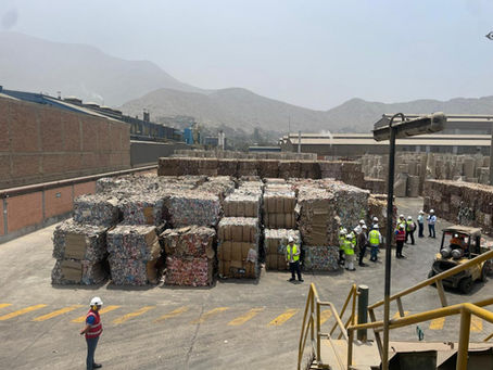 “Sé un Patriota del Reciclaje”: iniciativa que convoca a los peruanos a cuidar el medio ambiente durante las Fiestas Patrias