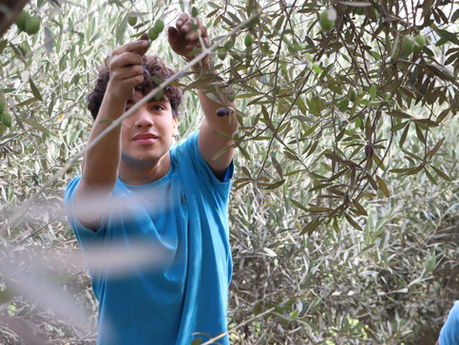 ¿Por qué es importante que los estudiantes aprendan la importancia de la ecología y la sostenibilidad en el colegio?