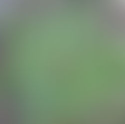 שינן רפואי – העוצמה שבפשטות