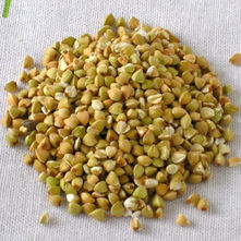 כוסמת ירוקה כמזון מרפא - מתכונים לשילוב בתזונה ביומיום