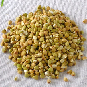 כוסמת ירוקה כמזון מרפא - מתכונים לשילוב בתזונה ביומיום