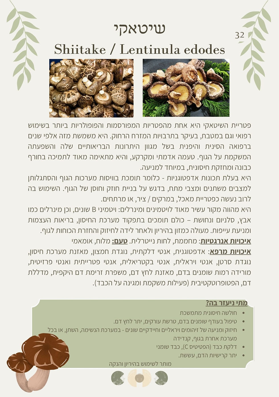 תמונה ממוזערת: חוברת לימוד מקיפה - ריפוי טבעי במטבח הביתי