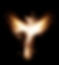 Burning bird phoenix isolated on black background.jpg