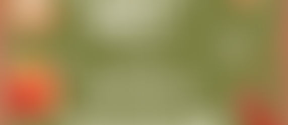 Grinch Holiday Party